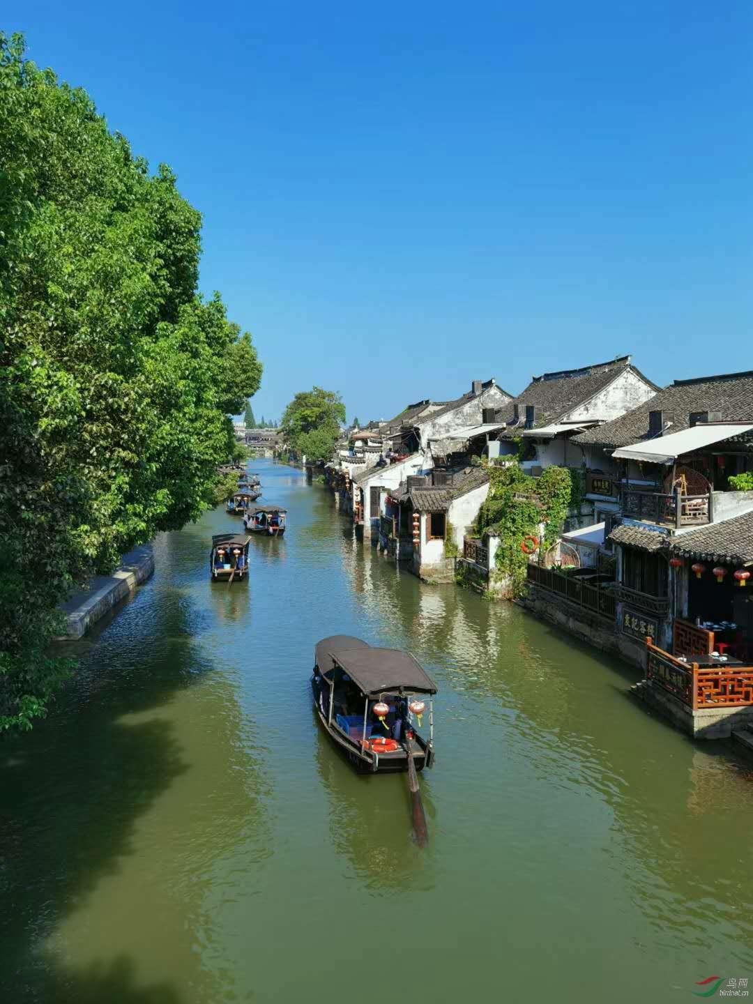 云雾高塔之重生